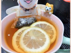柠檬红茶-逗柴咖啡屋·狗咖猫咖宠物桌游