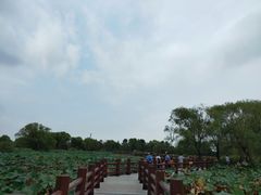 -长兴太湖图影湿地文化园