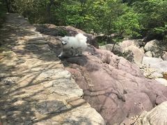 -湖州龙王山景区