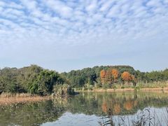 -白鹭湾湿地公园