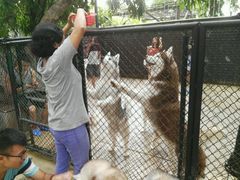 -TrueLove @ Neverland (Husky Cafe)