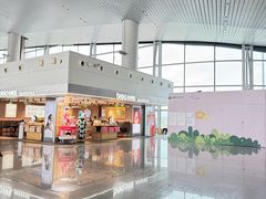 -广州白云国际机场-T2航站楼
