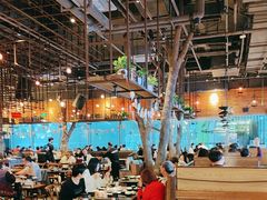 -同仁四季椰子鸡(宝安壹方城店)