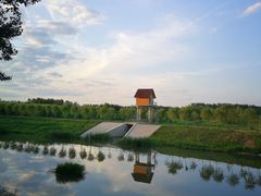 -东郊湿地公园