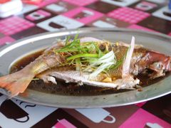 -兴旺海鲜砂煲王