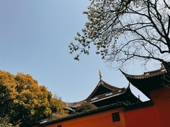 -宝岩生态观光园