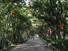 -灵谷景区