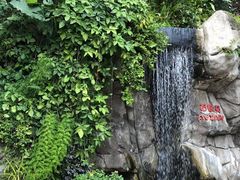 -九龙公园