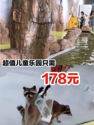 -七巧国萌宠乐园(龙湖天街店)