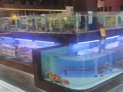 -阿伟海鲜楼·福建菜(延寿店)