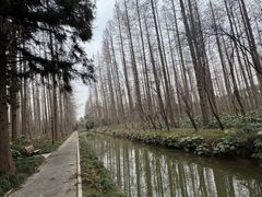 -上海怡沁园度假酒店