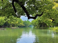 -西溪国家湿地公园