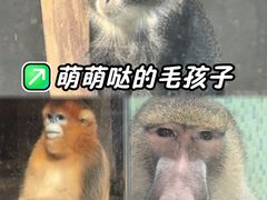-太原动物园