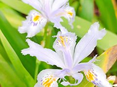 -唐城墙遗址公园