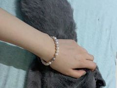 -喵的天空名猫咖啡馆·撸猫·猫舍·用品