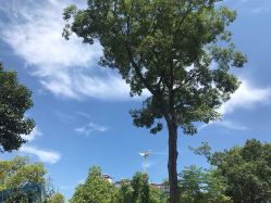 -南京市儿童医院(河西院区)