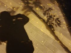 -金豆角砂锅焖面(安贞店)