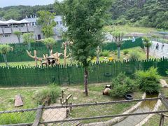 -沈阳森林动物园