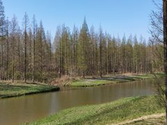 -黄海国家森林公园