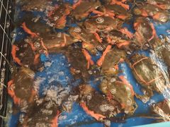 -阿明小菜·海鲜·上海菜(梅陇店)