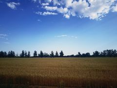 -瀛海足球主题公园