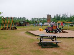 -上海长兴岛郊野公园