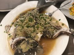 姜茸蒸清溪鲩-新世纪大酒楼·30年南海菜