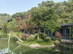 -云溪植物园