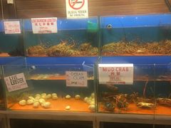 -真浪花园海鲜餐馆