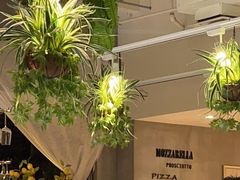 -ALLORA意大利餐厅(丰盛里店)