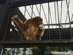 -宿豫区运河湾森林动物园