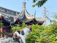 -豫园
