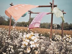 -长兴太湖图影湿地文化园