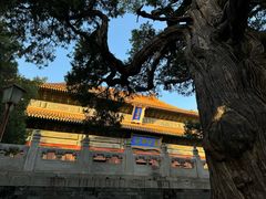 -北京国子监胡同