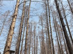 -上海怡沁园度假酒店