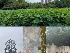 -龙头寺公园