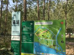 -合肥滨湖国家森林公园