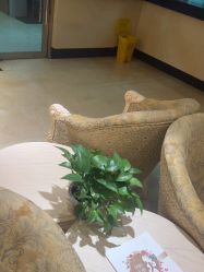 -北京俪婴妇产医院(朝阳大悦城店)