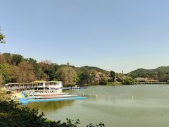 -鹿鸣酒家(越秀店)