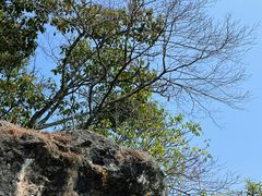 -抚仙湖禄充风景区