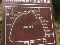 -大岭沟猕猴桃谷风景区