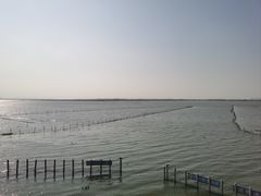 -莲花岛景区