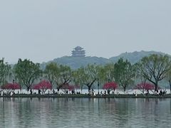 -杭州城中香格里拉大酒店