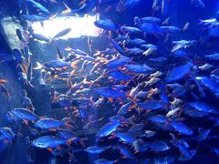 -成都浩海立方海洋公园