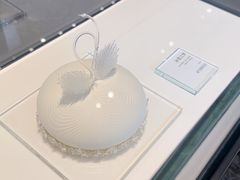 -BLACKSWAN黑天鹅(新希望店)