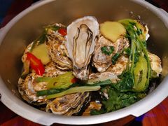 -千岛蚝高压锅生蚝·人参火锅(白云万达店)