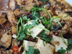 -煲来饱去冷水鱼