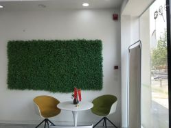 -莱可美科技美肤