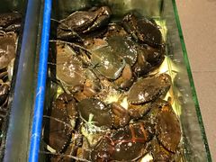 -Isla Sugbu Seafood City