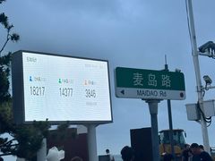 -小麦岛公园